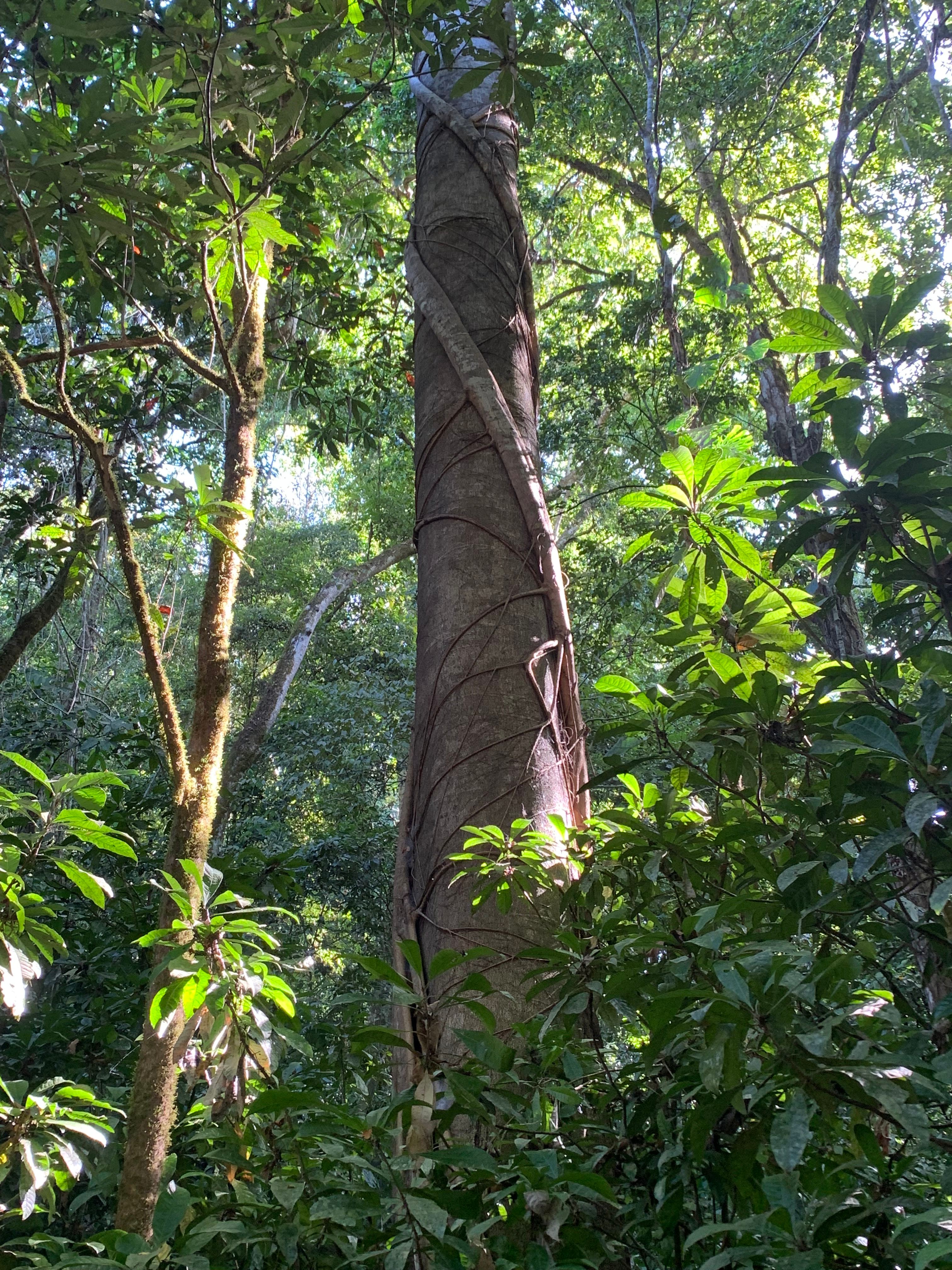 Costa Rica